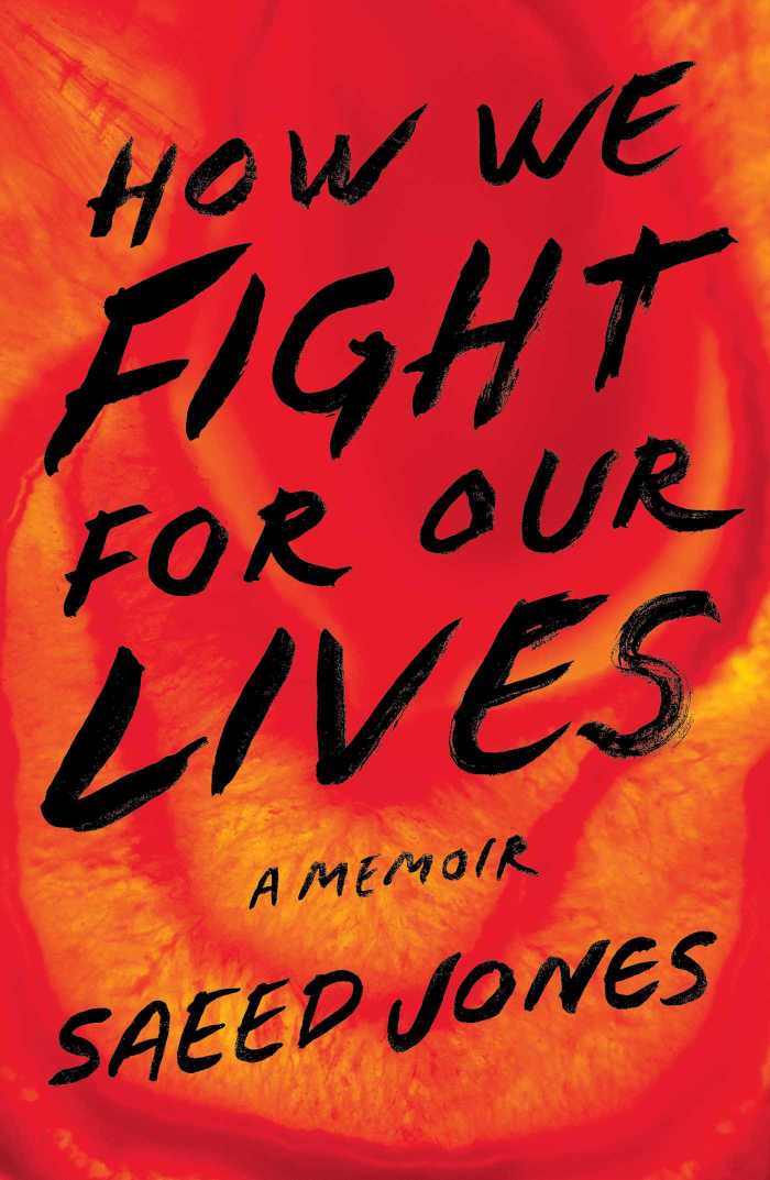 how-we-fight-for-our-lives-9781501132735_hr